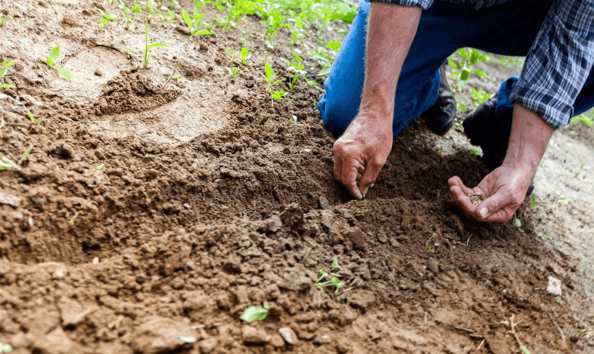 Shell v Milieudefensie: Sowing the Seeds for Future Climate Litigation against Fossil Fuel Producers