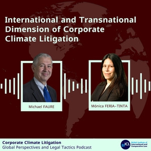 International and Transactional Dimension of Corporate Climate Litigation