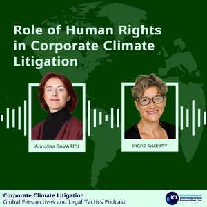 Role of Human Rights in Corporate Climate Litigation